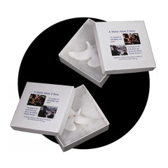 Home Alone Turtle Doves pair in jewelry style gift box set