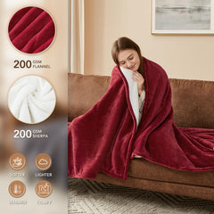 Homemate dual control heated blanket with two controllers