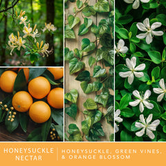 Honeysuckle nectar scent wax melts by ScentSationals
