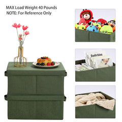 Pack of 2 HOONEX storage boxes with removable lids olive
