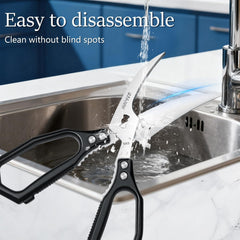 Electrolytically polished blade and alloy handle