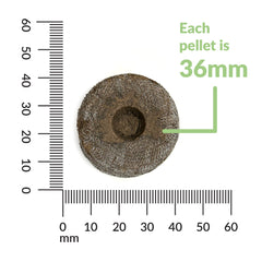 Indoor seed starter plugs with Jiffy peat soil pellets 36 mm