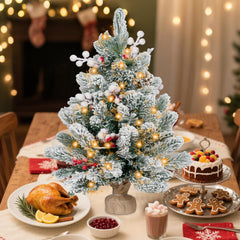 ININ 2FT Pre-lit Mini Christmas Snow Flocked Tree tabletop display