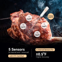 INT-11S-B temperature probe with 5 sensors in 1 probe