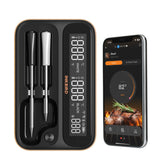 INKBIRD WiFi Smart Thermometer dual probes for grilling