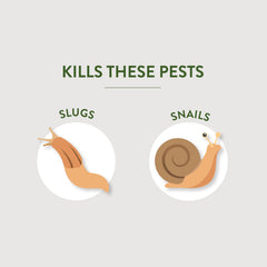 Iron phosphate slug bait granules for garden use