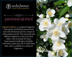 Seda France Japanese Quince 3 Wick Candle model