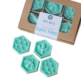 Jarful House Sedona Sunrise wax melts seafoam blue