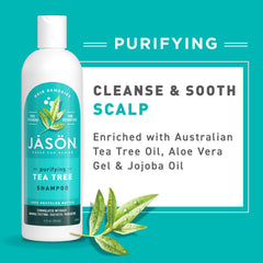 Botanicals including tea tree oil calendula in Jason Shampoo