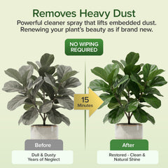 Jaxry cleaner spray for silk foliage and polyester leaves