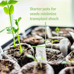 Jiffy peat soil pellets seeds starting plugs 36 mm