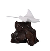 Manta Ray Sculpture by John Perry Pellucida on polished burlwood base