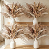 JOHOUSE 450PCS natural dried pampas grass decor overall view