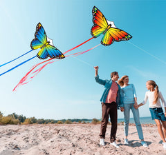 Large 39x20 inch butterfly kite surface for Lanrui set