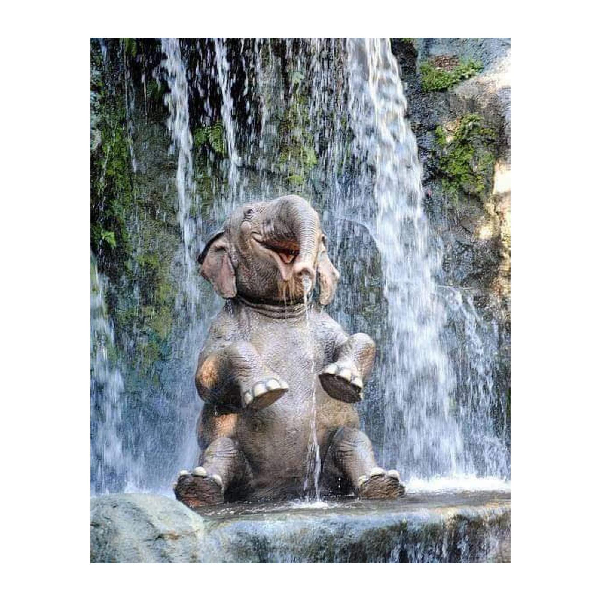 Laughing Elephant animal wall art decor 8x10 unframed