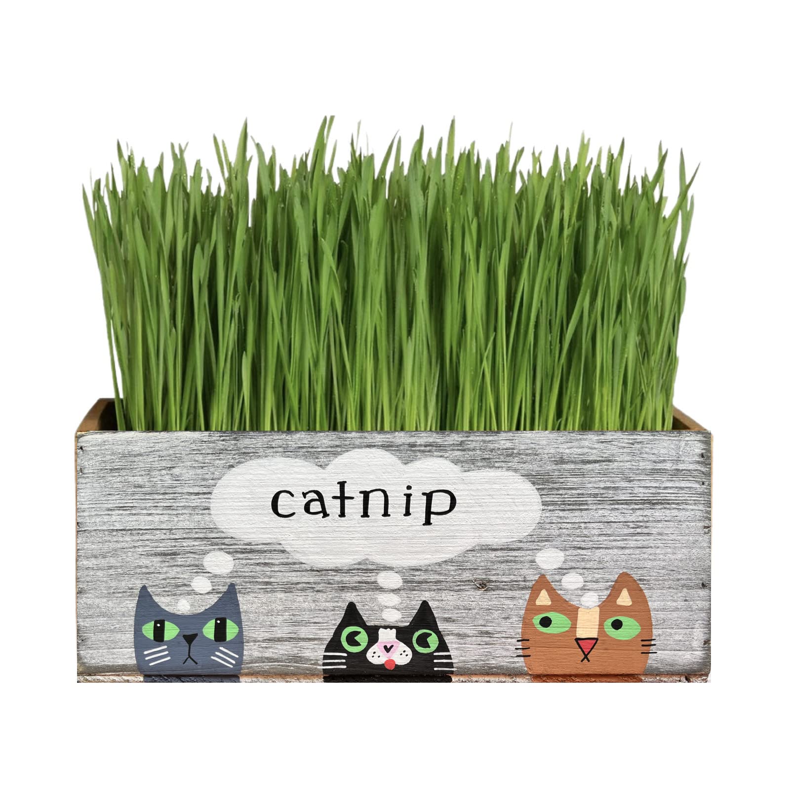 Lea Joelle handmade catnip planter 10x5x4 inches