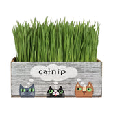Lea Joelle handmade catnip planter 10x5x4 inches