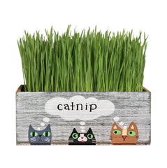 Lea Joelle handmade catnip planter 10x5x4 inches