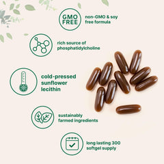Cold pressed soy free non-GMO lecithin packaging