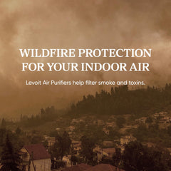 Levoit air purifier for home pets in living space