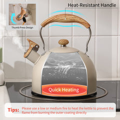 Stainless steel kettle with silicone-coated wooden handle