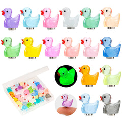 Set of 24 luminous mini resin duck fridge magnets in colorful assortment