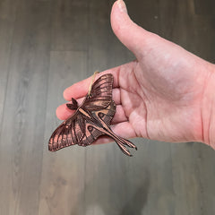 Luna Moth Cedar Ornament wood grain varies by piece