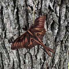 Luna Moth Cedar Ornament designed and engraved in Texas USA