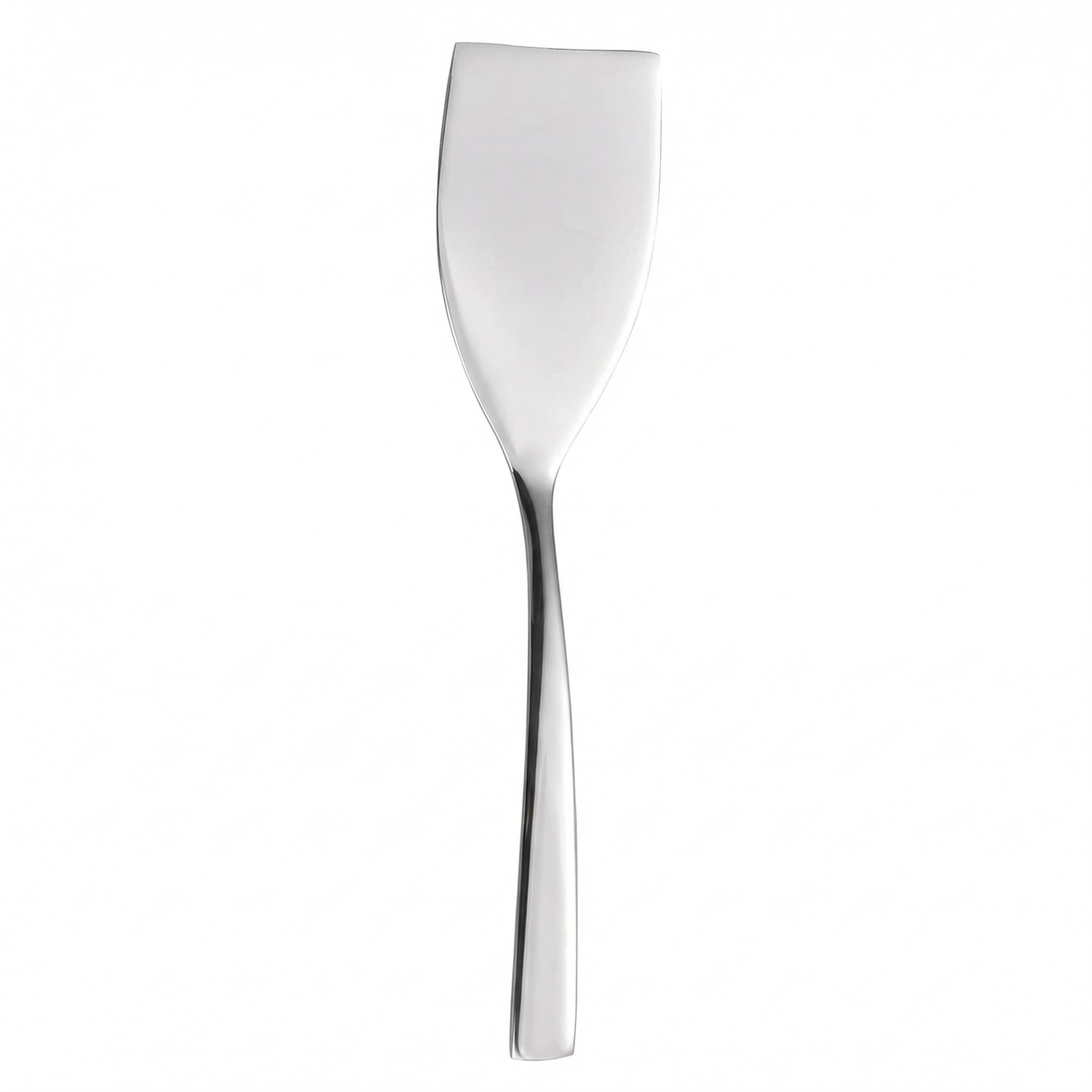 Lupnkl 9.84-Inch Mini Stainless Steel Spatula compact size for small tasks