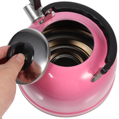 Stainless steel kettle 7.9 x 7.3 inch home use