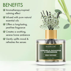 Citronella eucalyptus lemongrass diffuser with reed sticks included