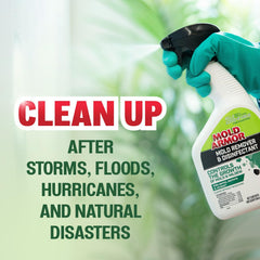 Ready-to-use disinfectant cleaner for mold control from Mold Armor