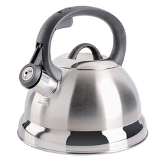 Mr. Coffee Flintshire kettle front view with brushed satin finish