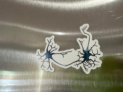 Multipolar neurons with branching synapses artwork