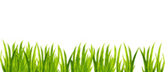 Murwall Kids Wall Decal Watercolor Grass Wall Sticker set with 10 grass pieces totaling 200cm