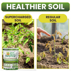 mycorrhizal fungi trichoderma bacillus blend for plants