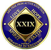 NA 29 Year Golden Color Plated Medallion recovery coin image