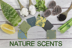 NATURAL AMERICAN ELEMENTS men's bar soap Citrus Bamboo 5 oz
