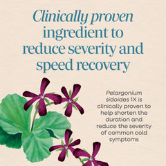 Pelargonium sidoides 1X homeopathic ingredient on label