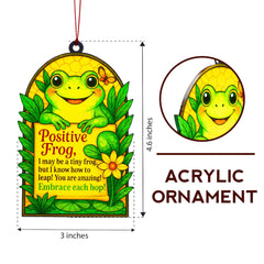 Nearly 4.5-inch light-catching acrylic ornament