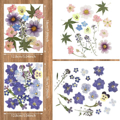 Vacuum packaged dried flowers with curved tweezer for crafting