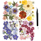Nuanchu dried pressed flowers for crafts resin set includes 68 pieces and curved tweezer