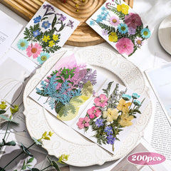 Real dried flowers and leaves in pastel tones