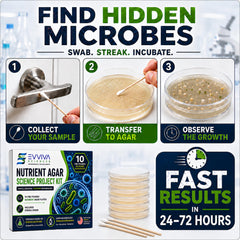 Nutrient agar petri dishes kit showing thick agar layer