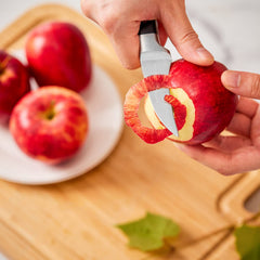 OAKSWARE Bird Beak Paring Knife 2.75 inch blade