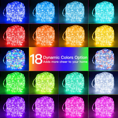 IP68 waterproof rope lights Ollny 33FT