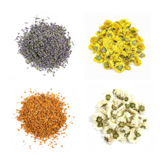 Nine varieties of botanicals in Orangift kit