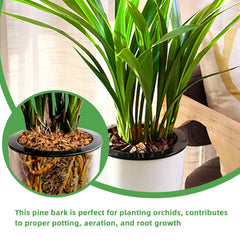 Organic bark mulch for potted plants and orchid care