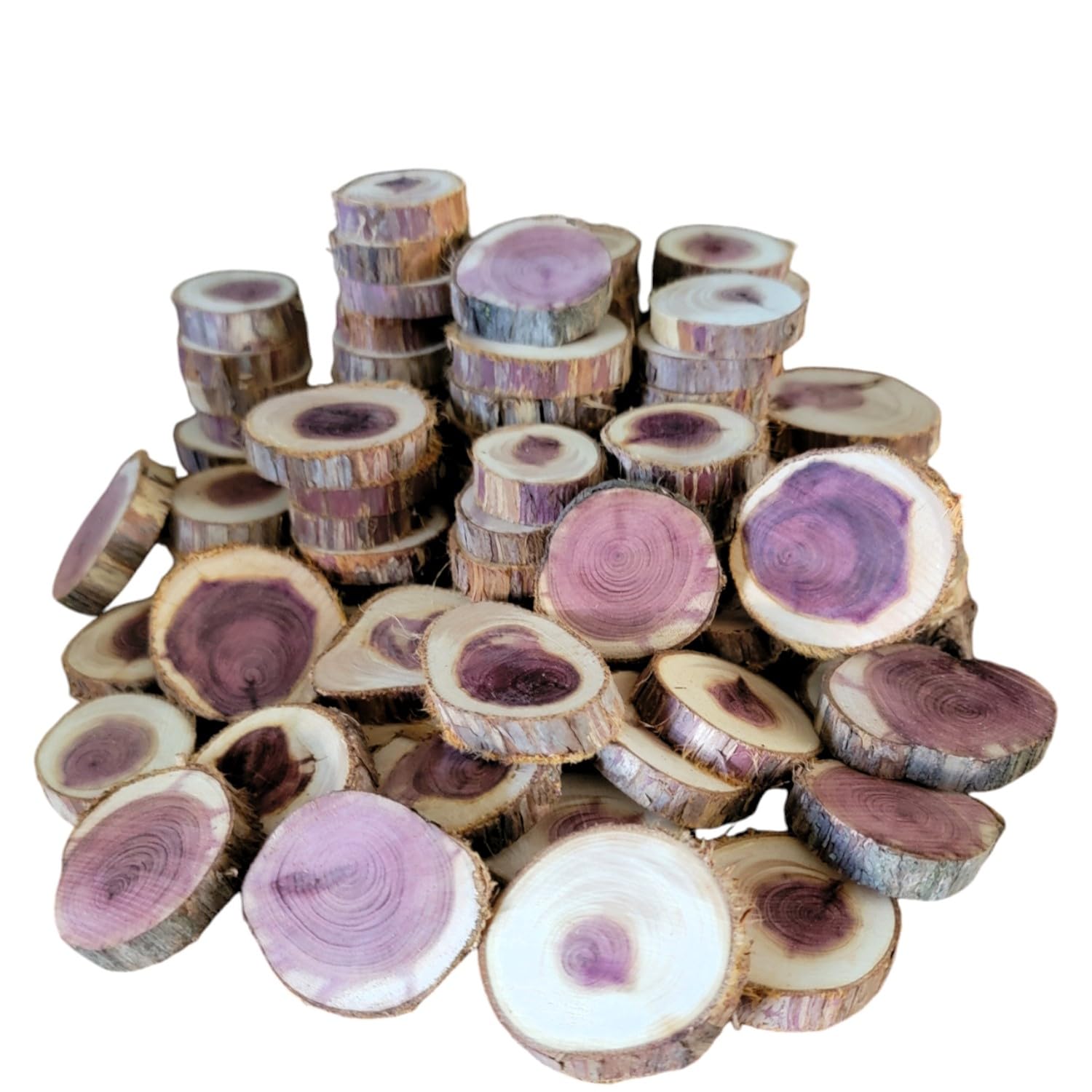 Pack of 100 small cedar wood slices