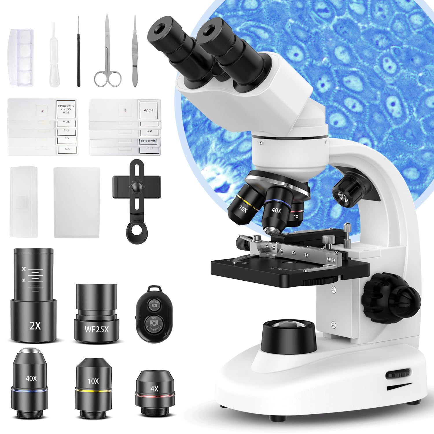 PalliPartners Compound Binocular Microscope product image